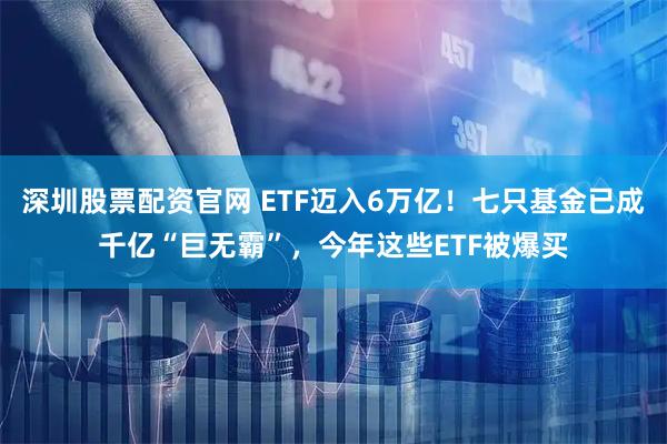 深圳股票配资官网 ETF迈入6万亿！七只基金已成千亿“巨无霸”，今年这些ETF被爆买