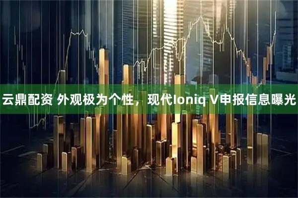 云鼎配资 外观极为个性，现代Ioniq V申报信息曝光